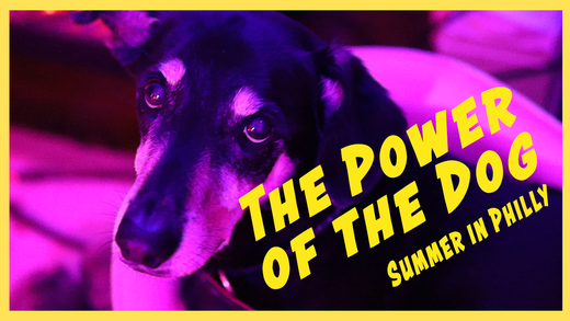 "The Power of the Dog" a song by Summer in Philly